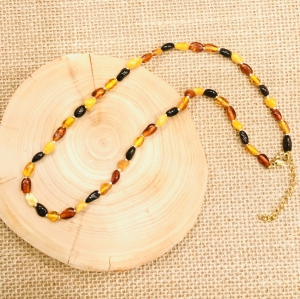 Amber Multicolor Necklace